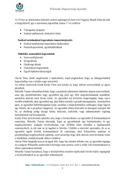 következő oldal →